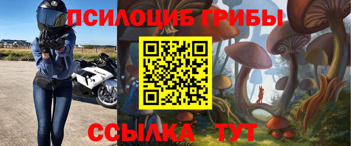Псилоцибиновые грибы GOLDEN TEACHER Ревда