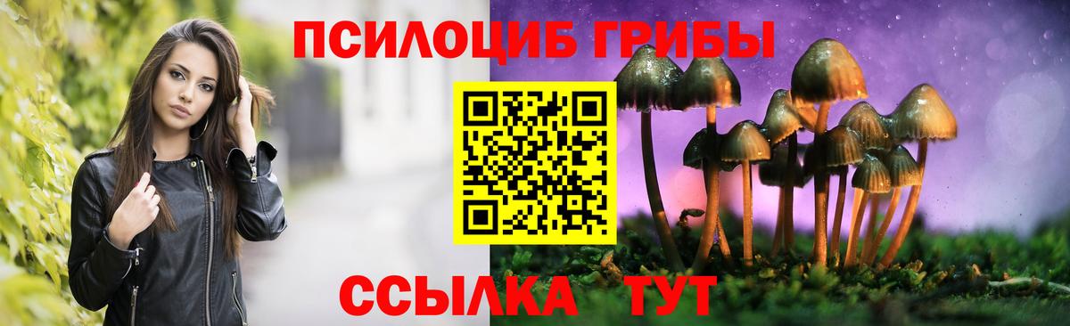 Галлюциногенные грибы GOLDEN TEACHER  Вход с VPN  Ревда 